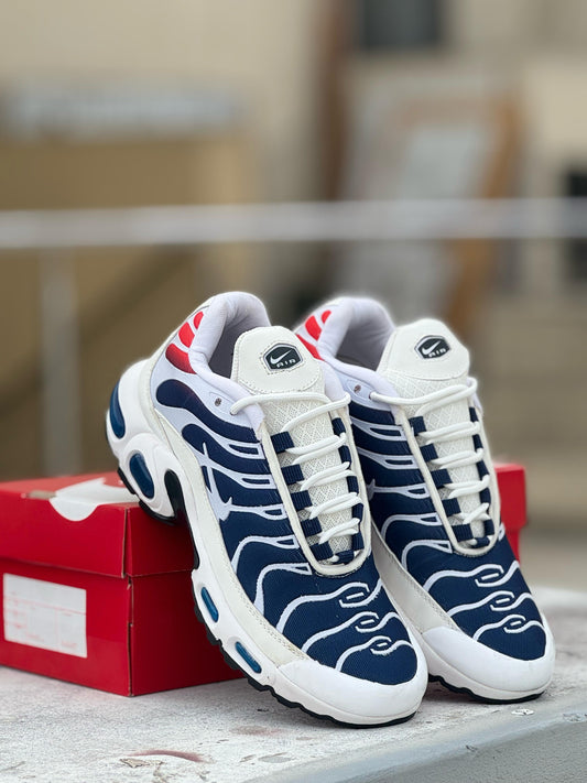 NIKE TN WHITE AND BLUE