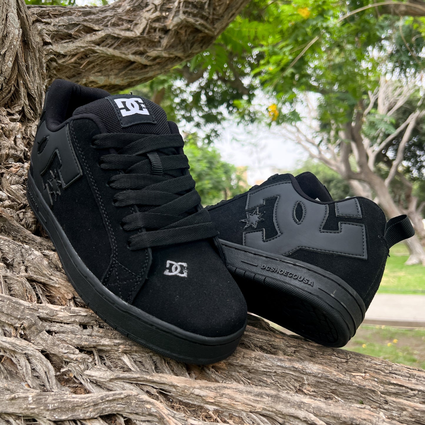 2X1 DC SHOES