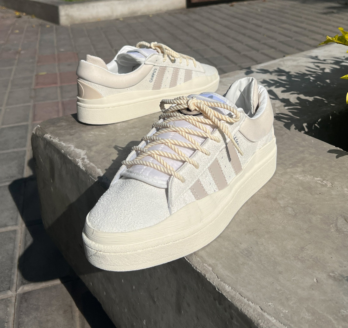 CAMPUS CREAM NEW